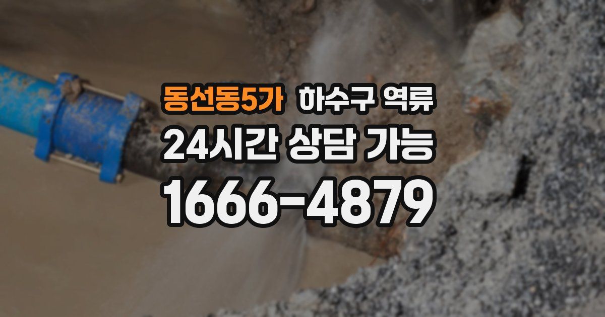 동선동5가 하수구 역류