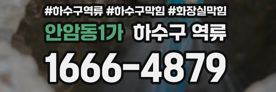 안암동1가 하수구 역류