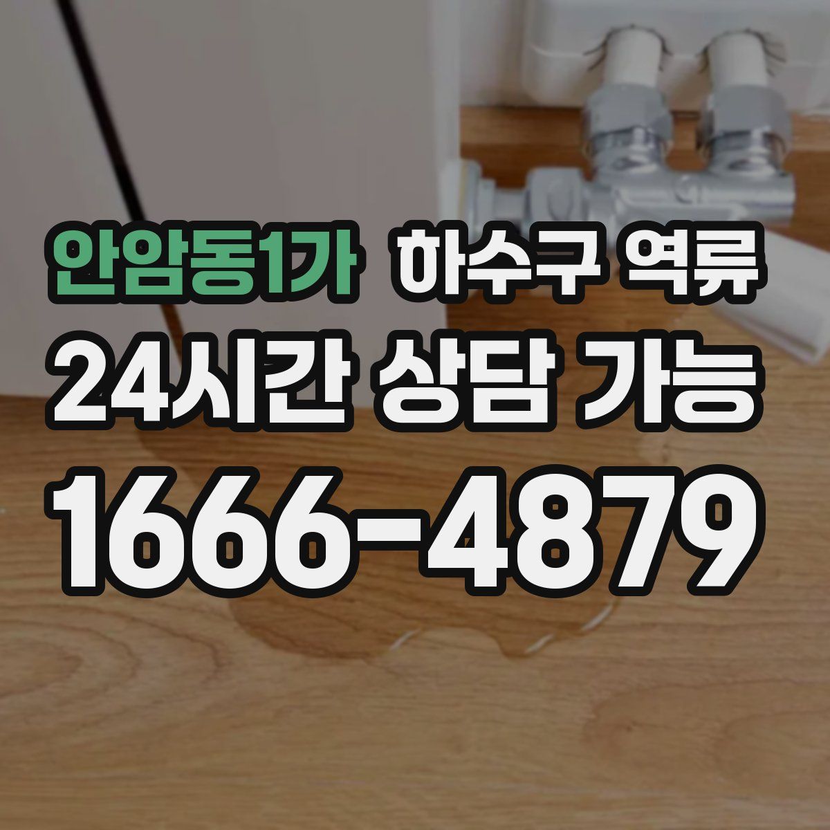 안암동1가 하수구 역류