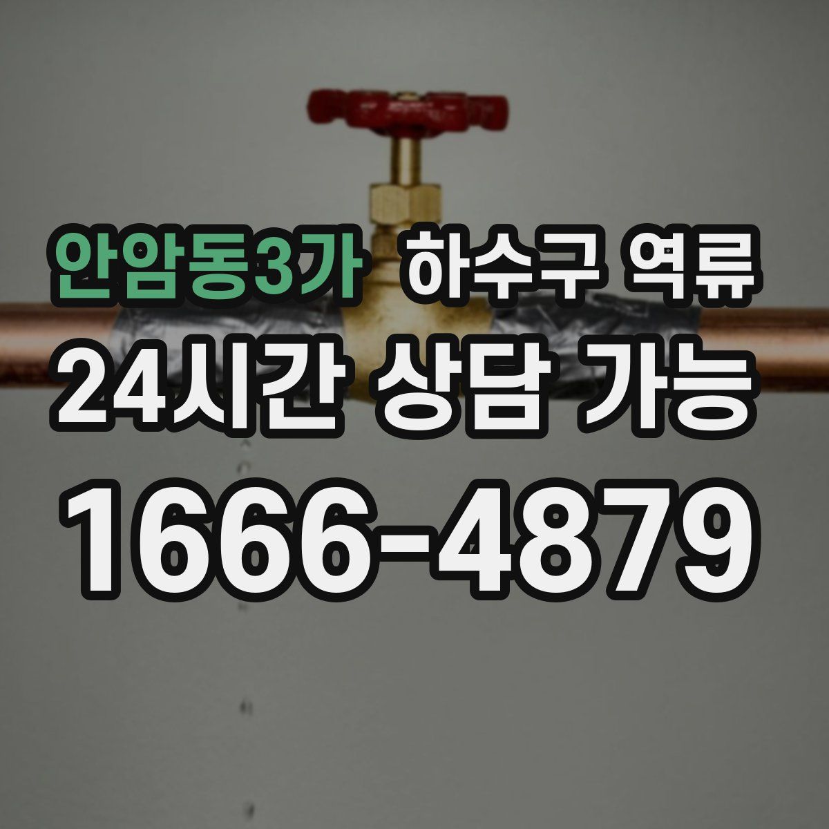 안암동3가 하수구 역류