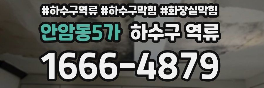 안암동5가 하수구 역류