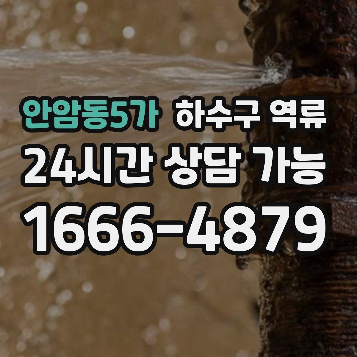 안암동5가 하수구 역류