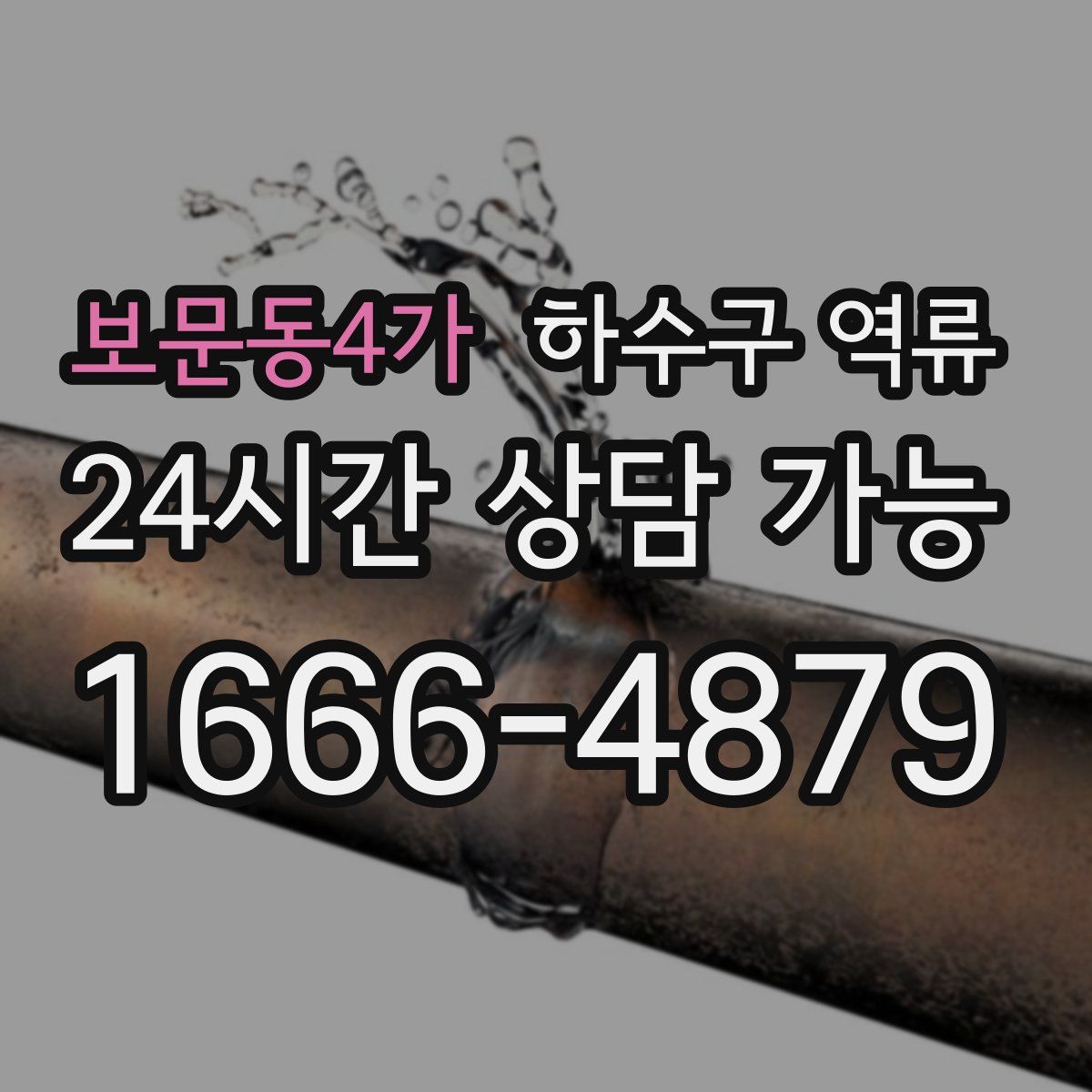 보문동4가 하수구 역류