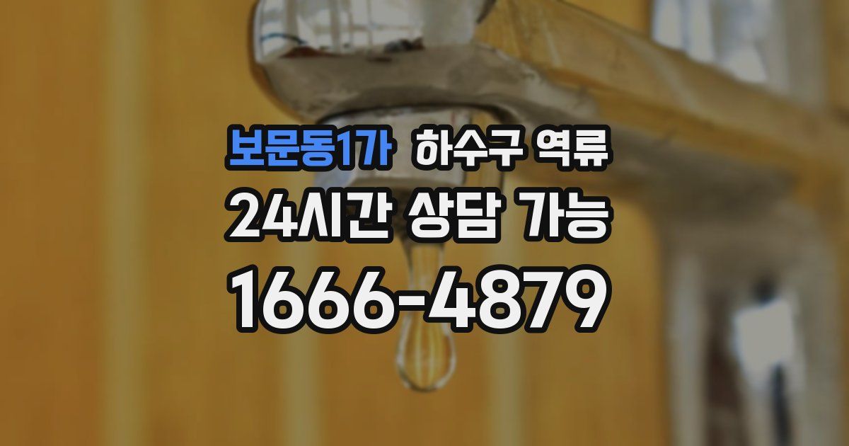 보문동1가 하수구 역류