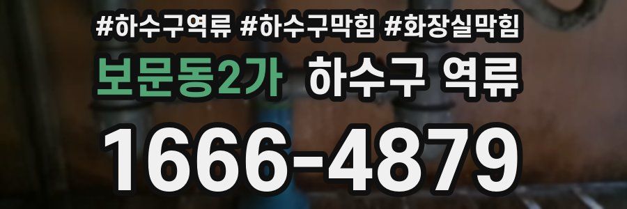 보문동2가 하수구 역류