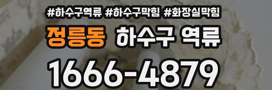 정릉동 하수구 역류