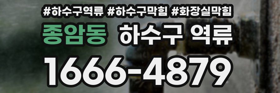 종암동 하수구 역류