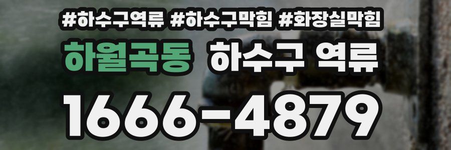 하월곡동 하수구 역류