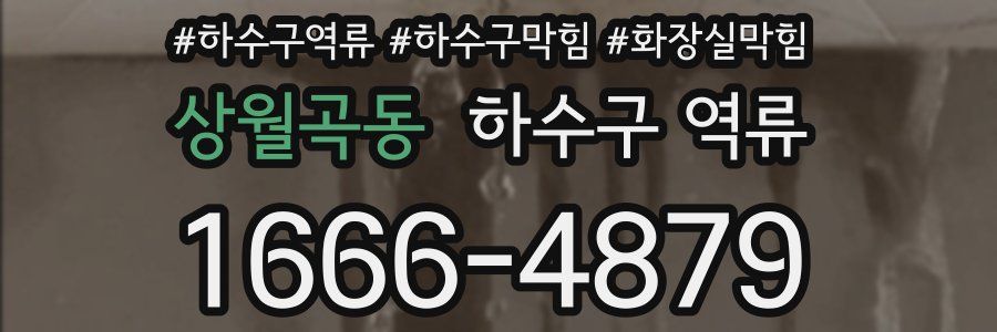 상월곡동 하수구 역류