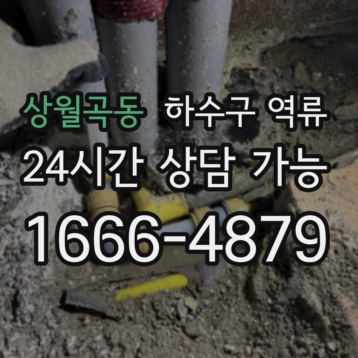 상월곡동 하수구 역류