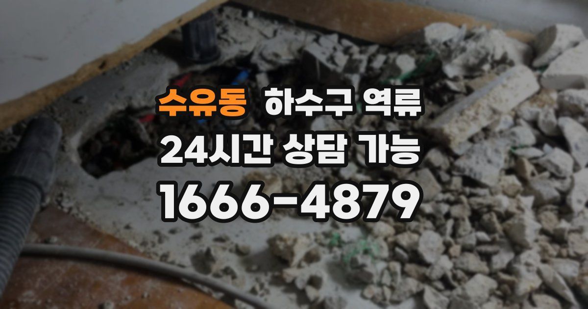 수유동 하수구 역류