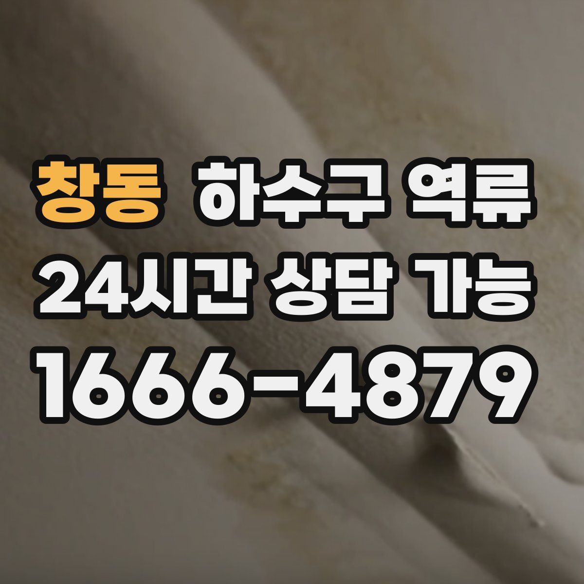 창동 하수구 역류