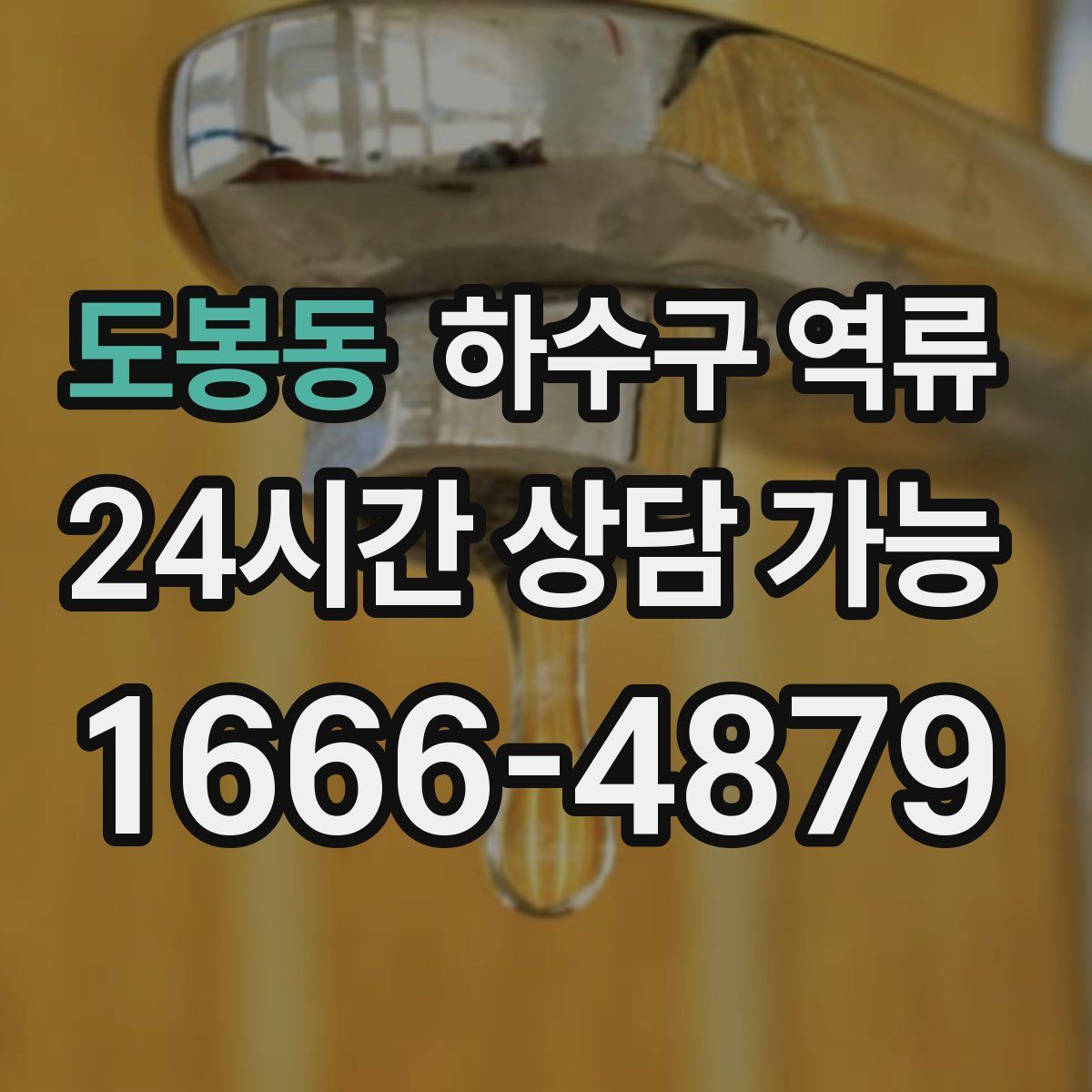 도봉동 하수구 역류