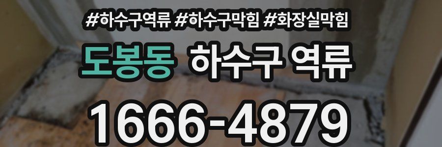 도봉동 하수구 역류