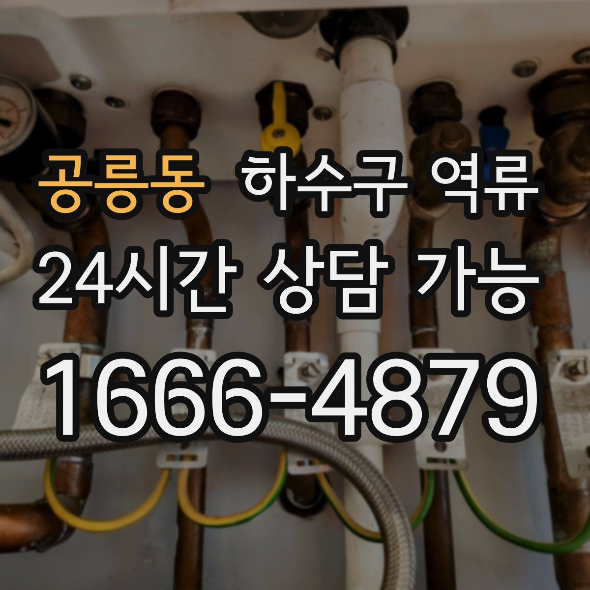 공릉동 하수구 역류