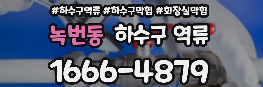 녹번동 하수구 역류