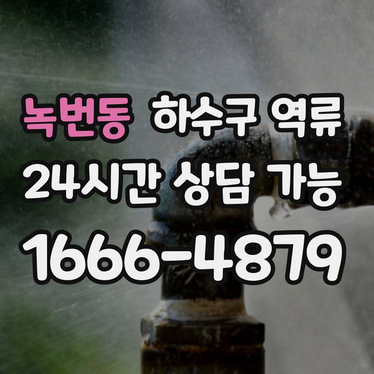 녹번동 하수구 역류