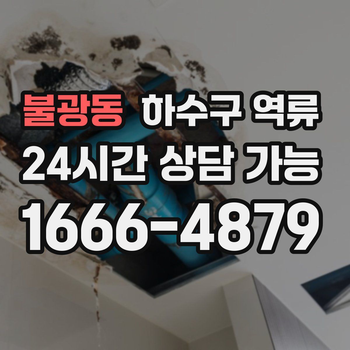 불광동 하수구 역류