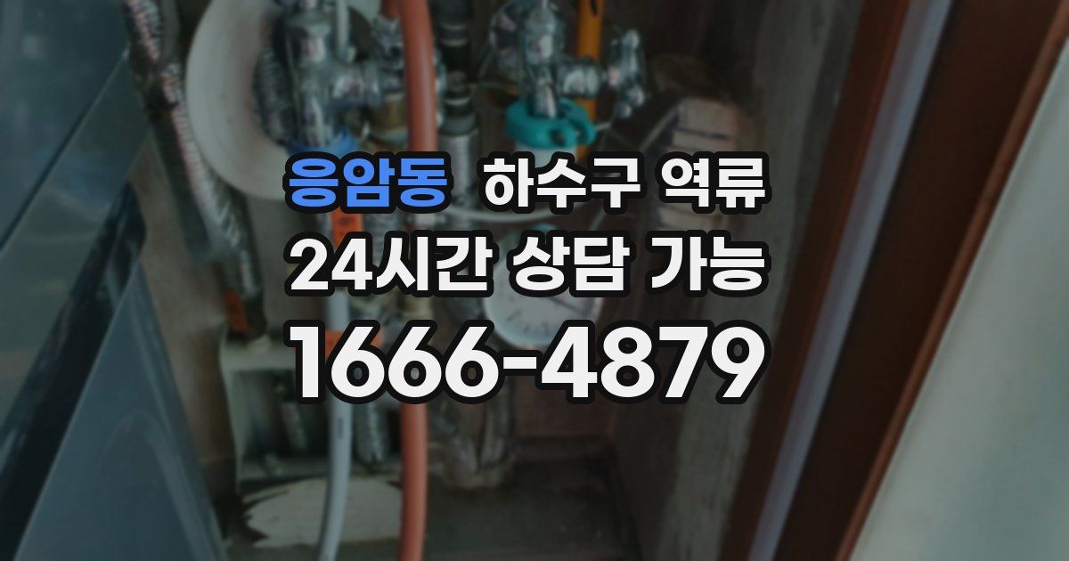 응암동 하수구 역류