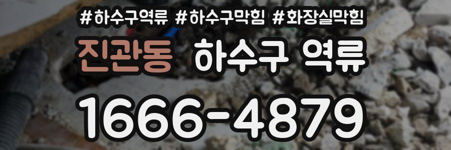 진관동 하수구 역류