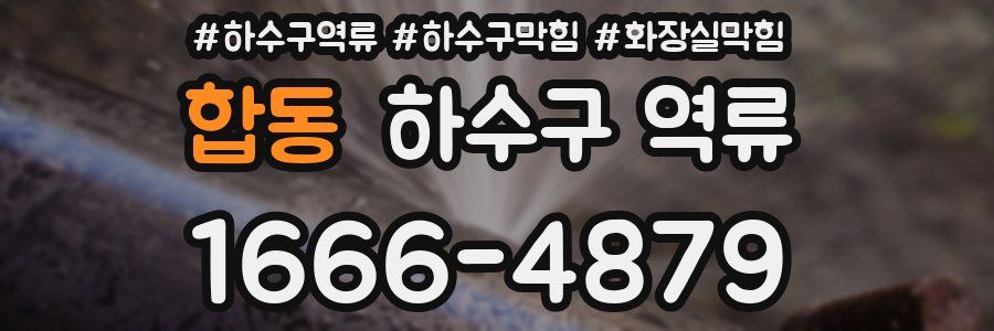 합동 하수구 역류