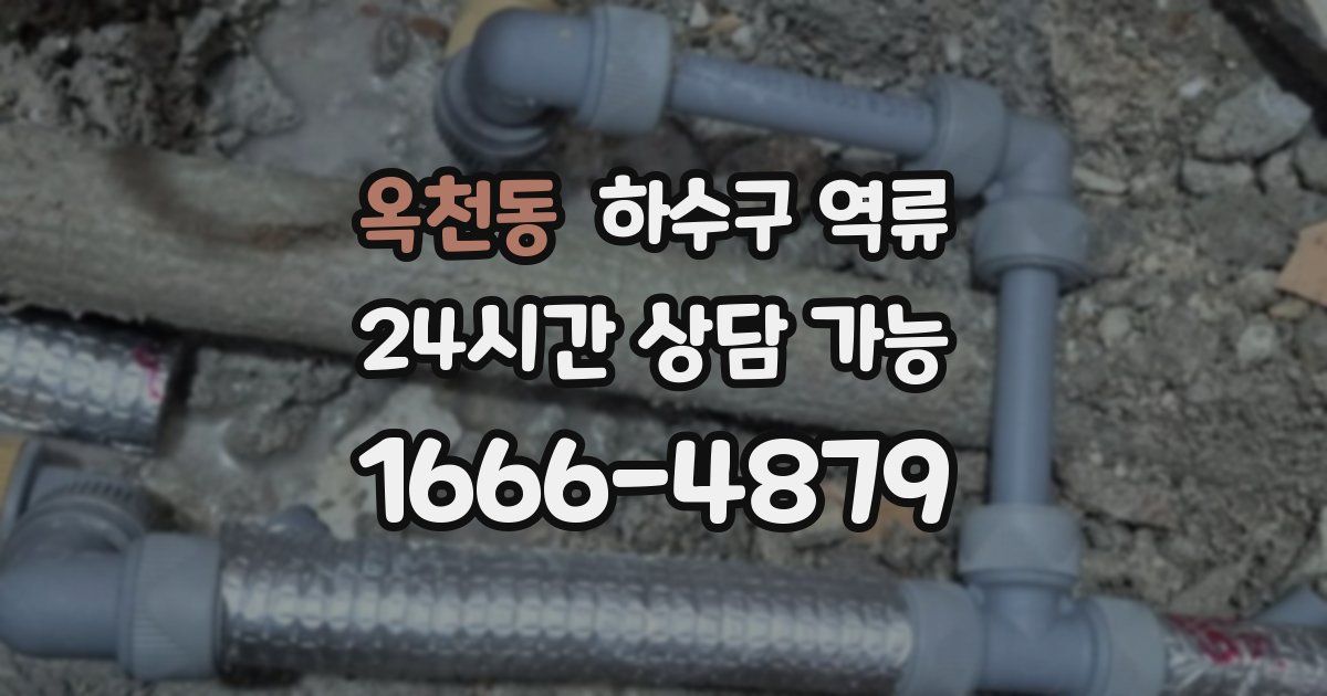 옥천동 하수구 역류