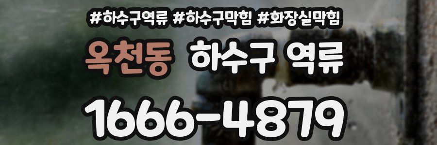 옥천동 하수구 역류