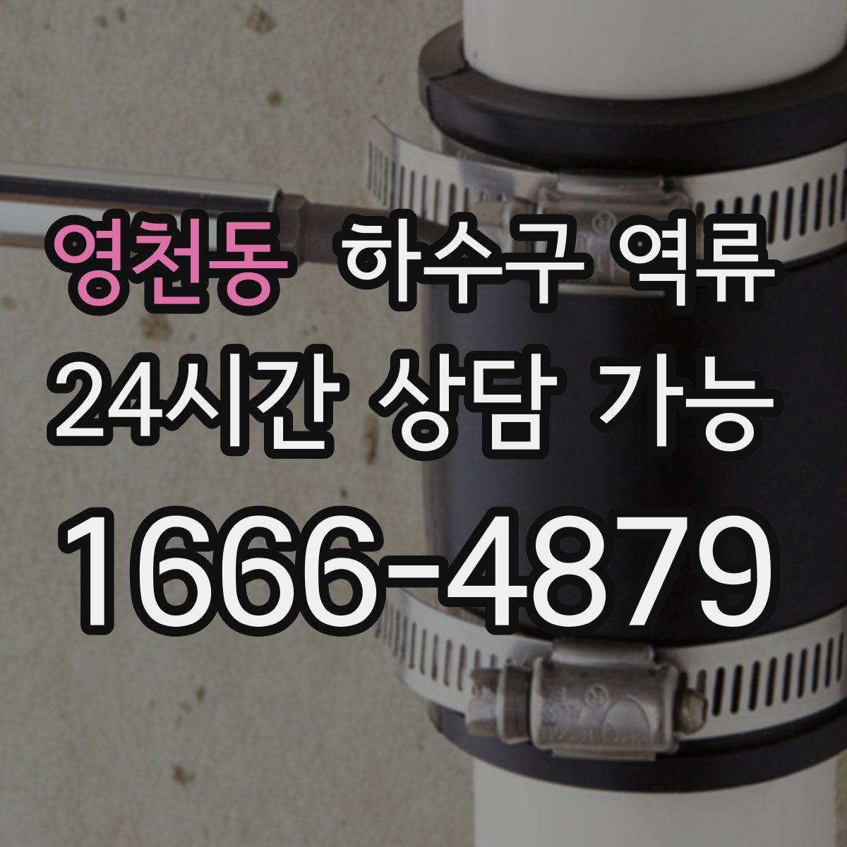 영천동 하수구 역류