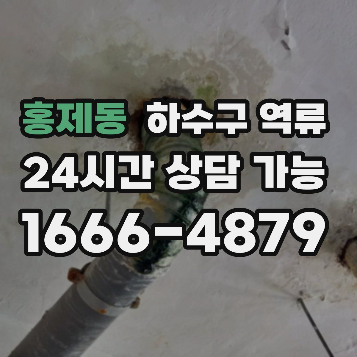 홍제동 하수구 역류