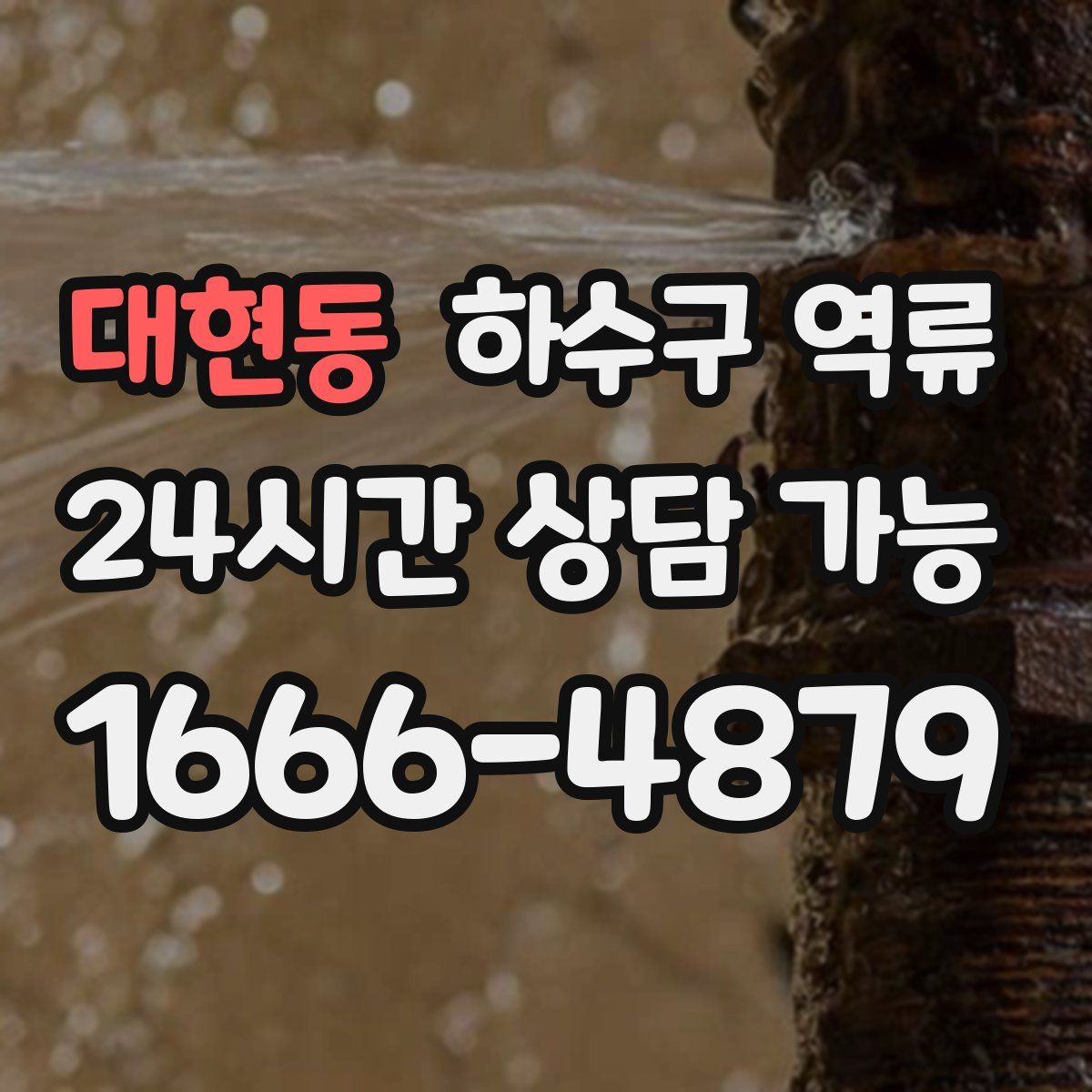 대현동 하수구 역류