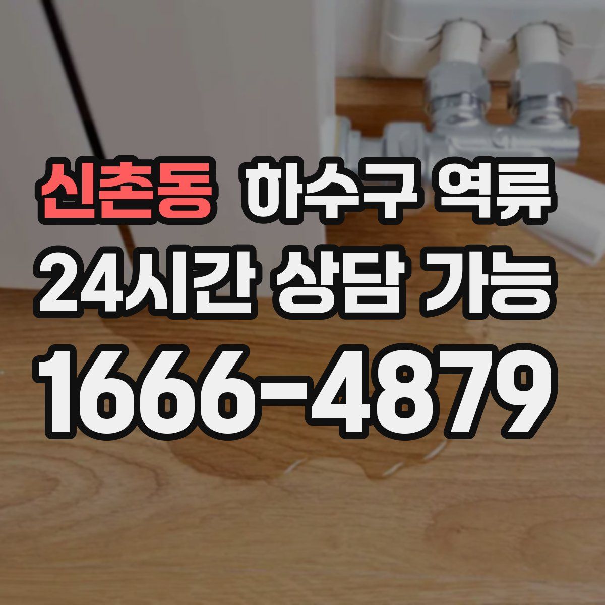 신촌동 하수구 역류