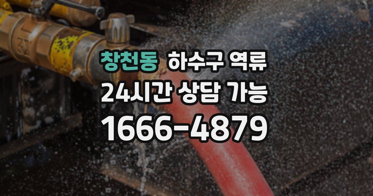 창천동 하수구 역류