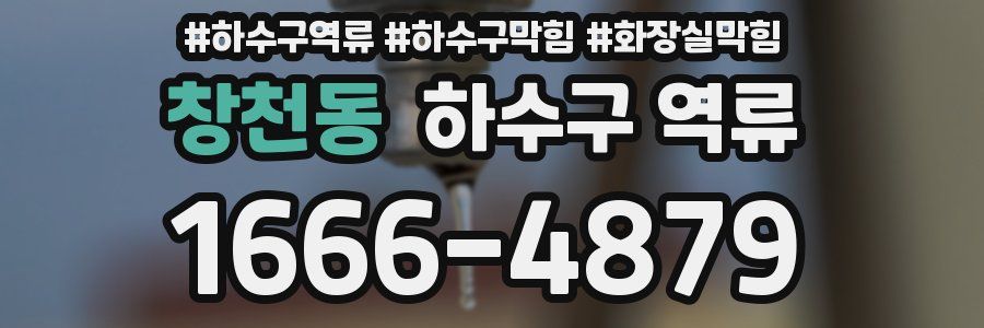 창천동 하수구 역류