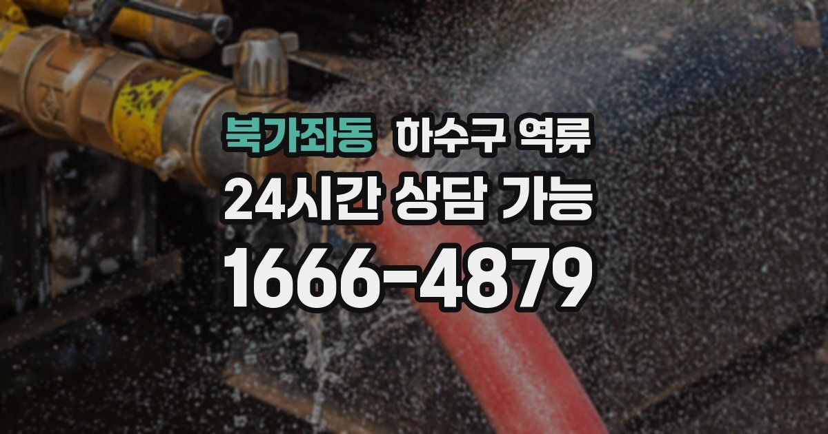 북가좌동 하수구 역류