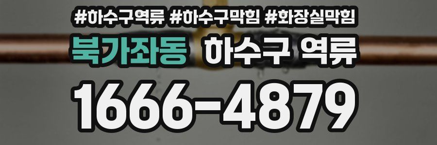 북가좌동 하수구 역류