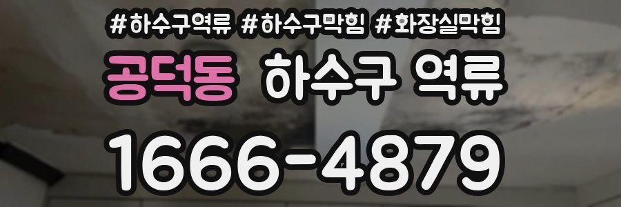 공덕동 하수구 역류