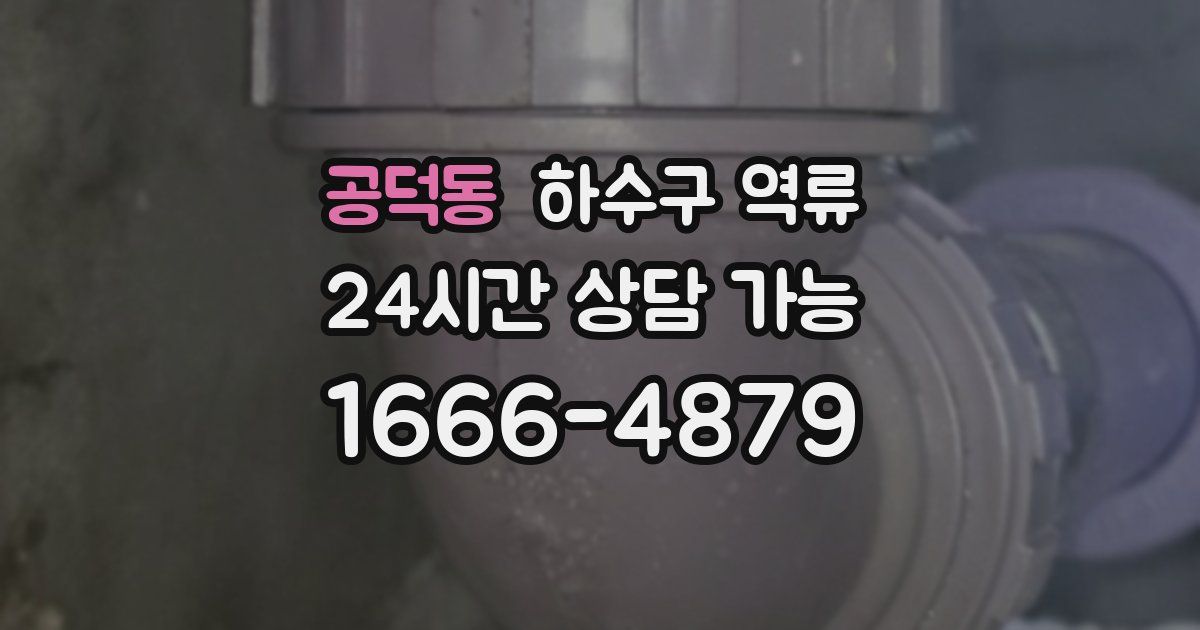 공덕동 하수구 역류