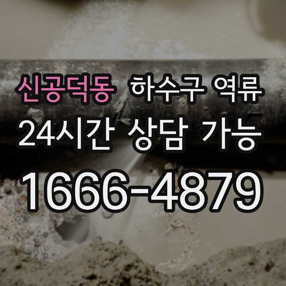 신공덕동 하수구 역류