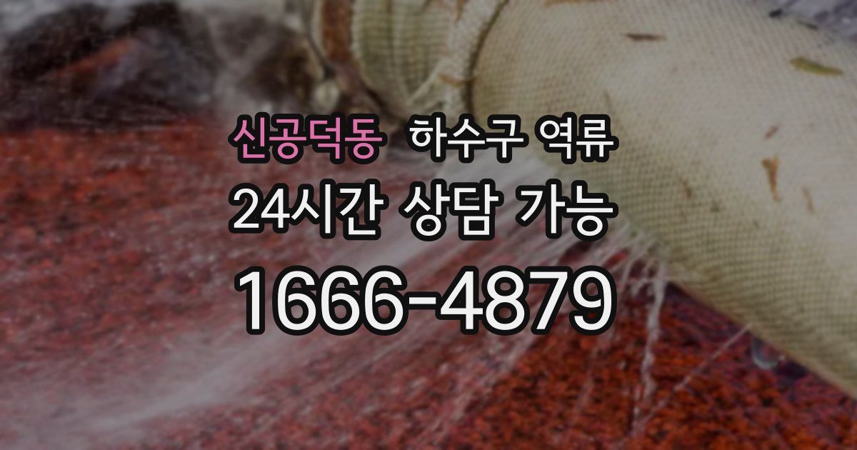 신공덕동 하수구 역류