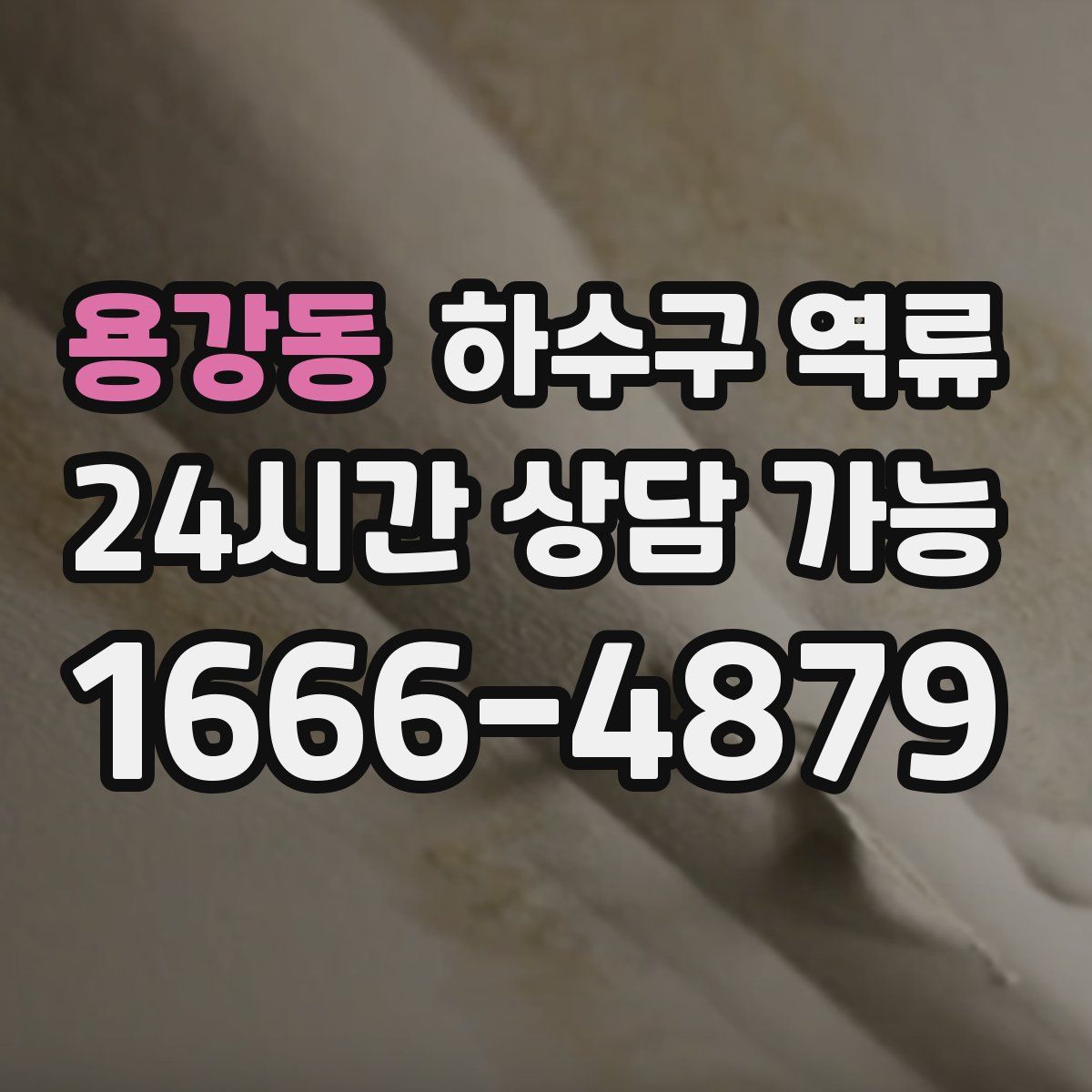 용강동 하수구 역류