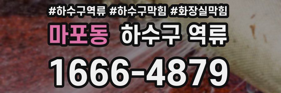 마포동 하수구 역류