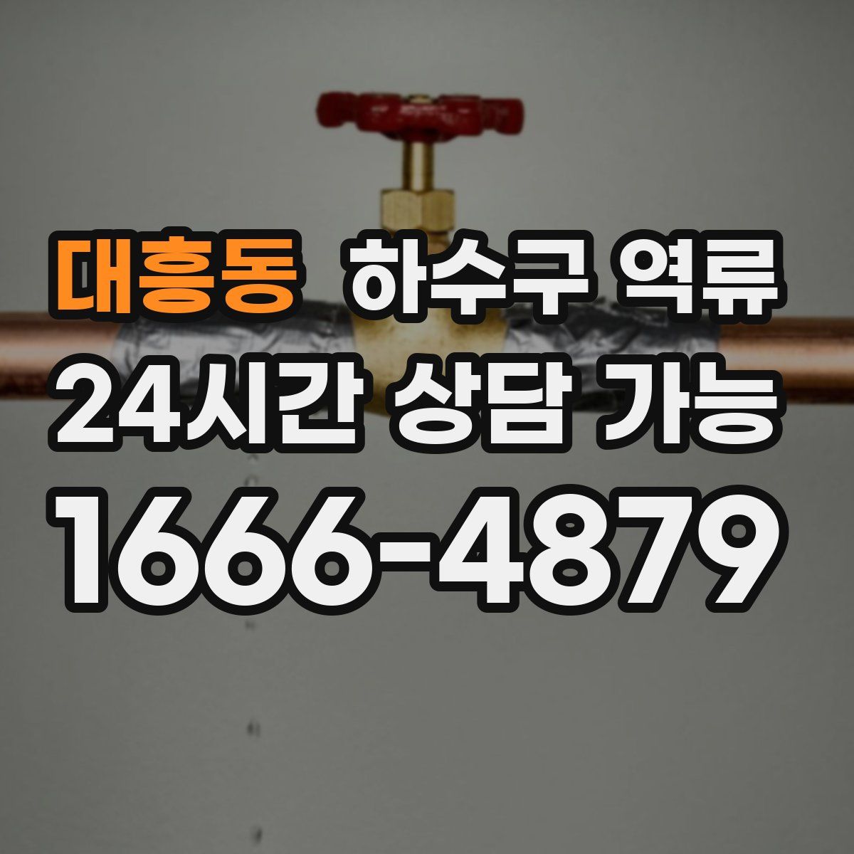 대흥동 하수구 역류