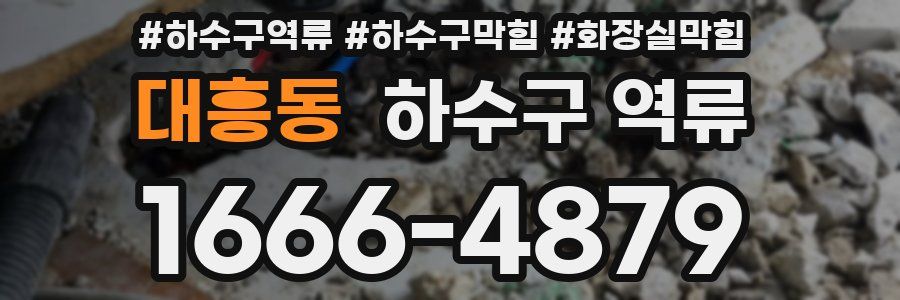 대흥동 하수구 역류