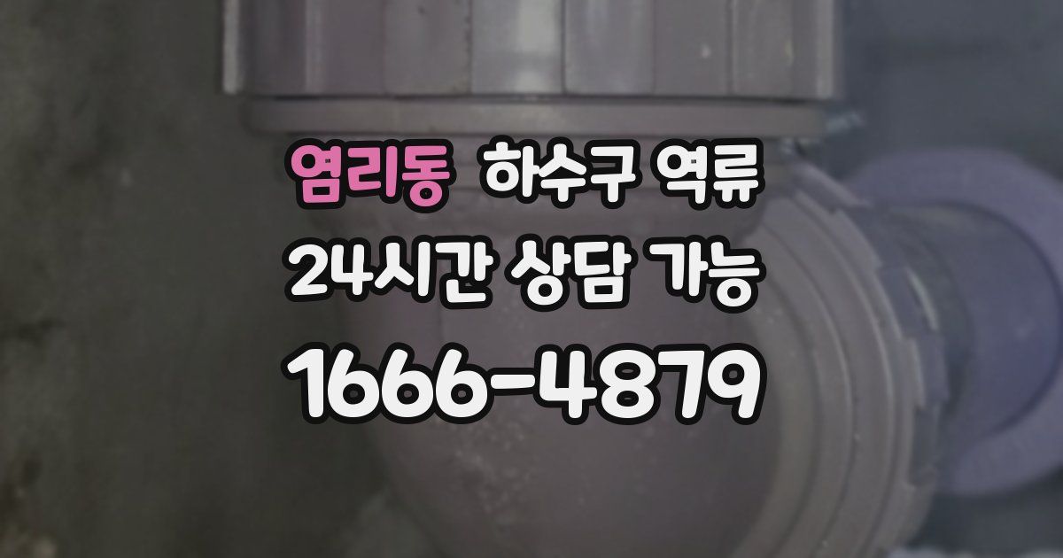 염리동 하수구 역류