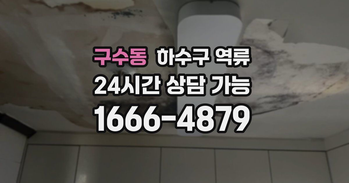 구수동 하수구 역류