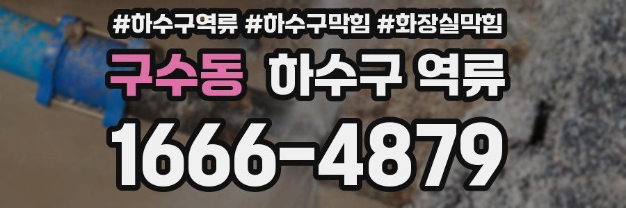 구수동 하수구 역류