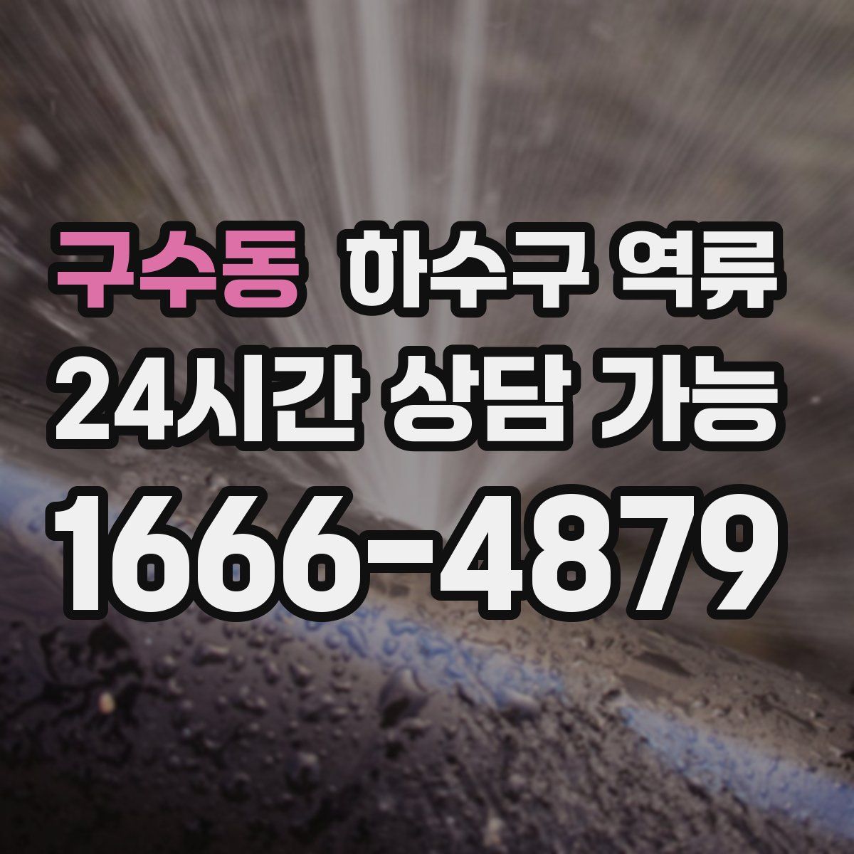 구수동 하수구 역류