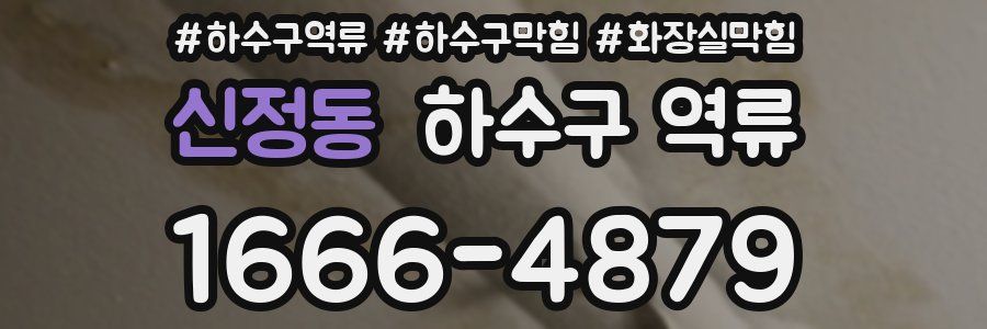 신정동 하수구 역류