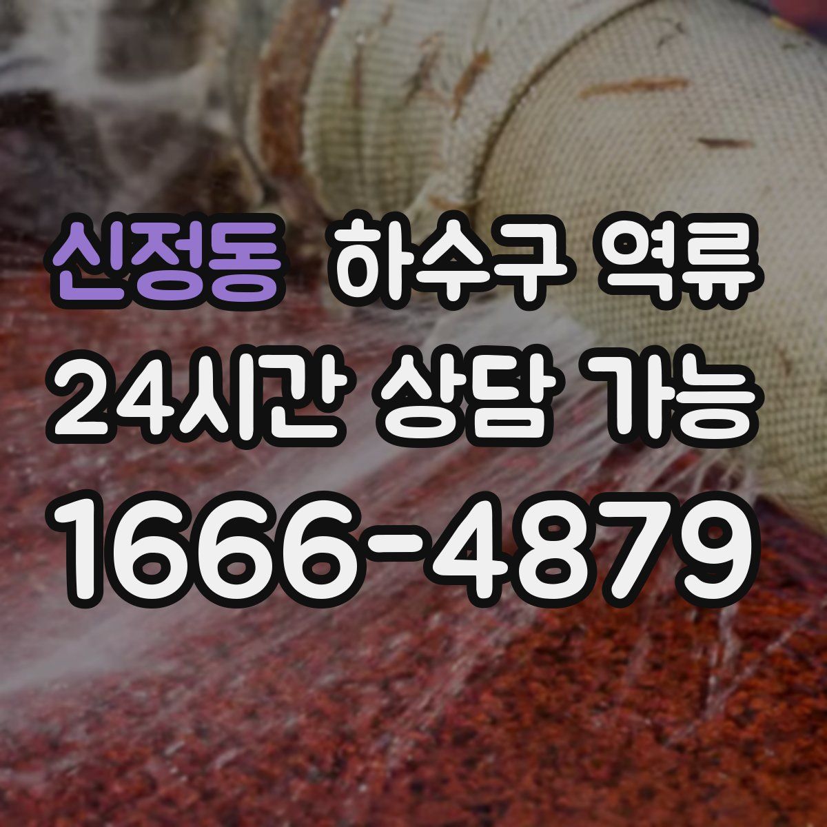 신정동 하수구 역류