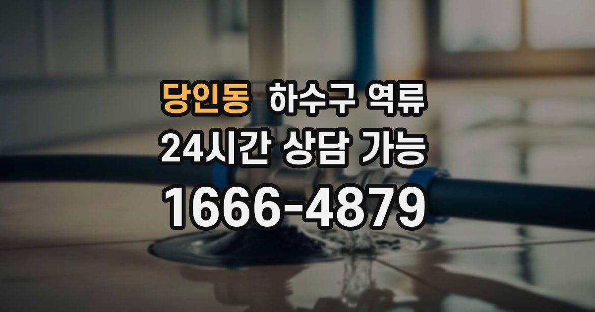 당인동 하수구 역류